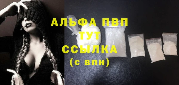PSILOCYBIN Лагань