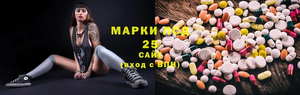 трава Лабытнанги