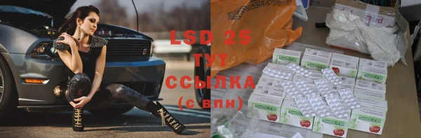 PSILOCYBIN Лагань