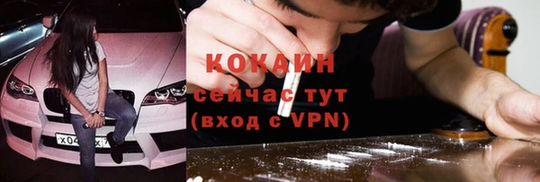 PSILOCYBIN Лагань