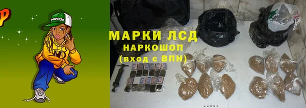 PSILOCYBIN Лагань