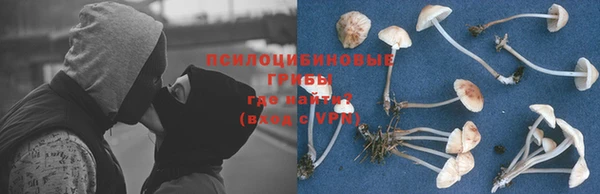 трава Лабытнанги