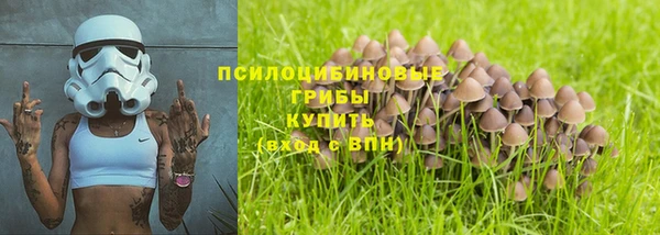 трава Лабытнанги