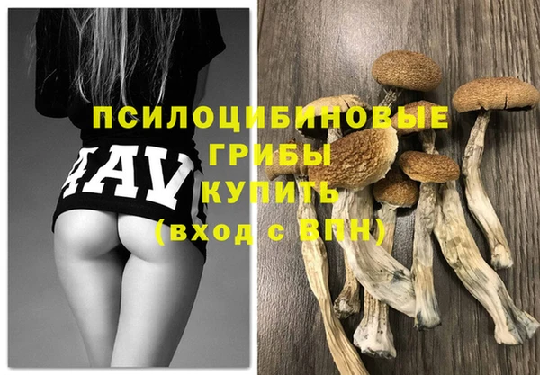 трава Лабытнанги